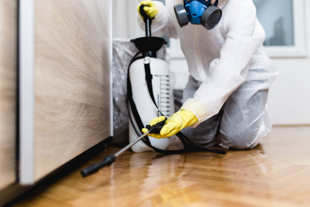 Best Pest Removal Services  in , WV