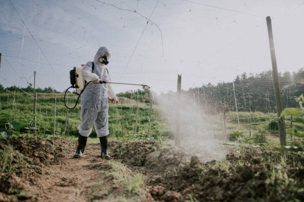 Best Affordable Pest Control Services  in , WV