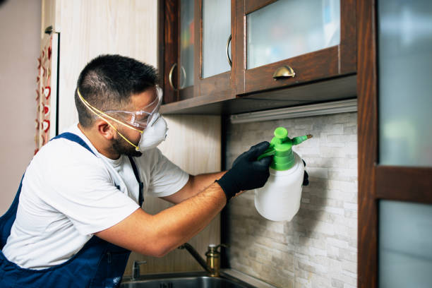 Best Cockroach Control Services  in , WV