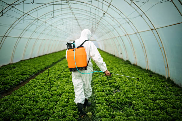 Best Affordable Pest Control Services  in , WV