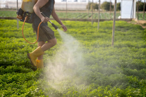 Best Affordable Pest Control Services  in , WV
