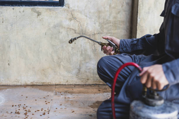 Best Mosquito Control Services  in , WV