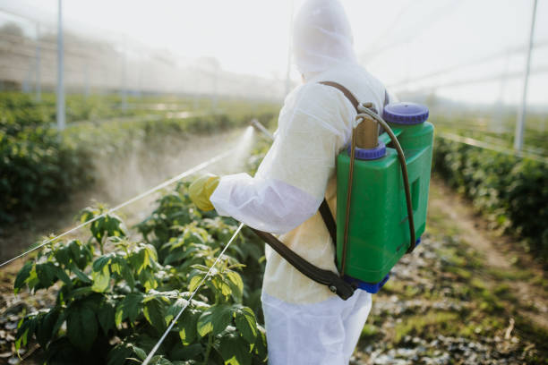 Best Local Pest Control Services  in , WV
